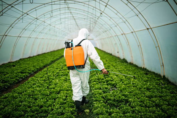 Best Pest Removal Services  in Argentine, MI
