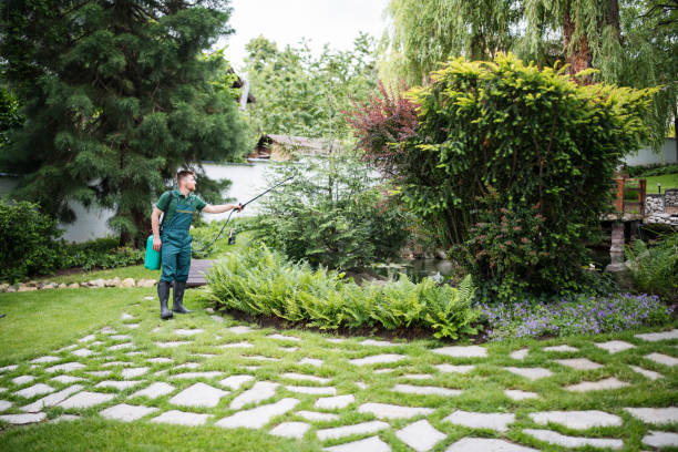 Best Pest Prevention Services  in Argentine, MI