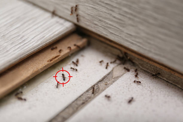Best Wildlife Control Services  in Argentine, MI