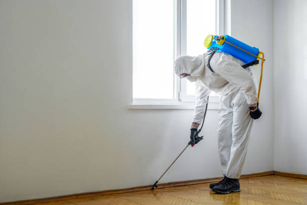 Best Insect Control  in Argentine, MI