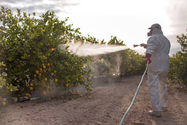 Flea Control Services in Argentine, MI