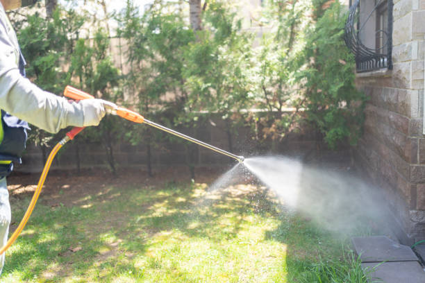 Trusted Argentine, MI Pest Control Experts
