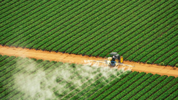 Best Termite Control Services  in Argentine, MI