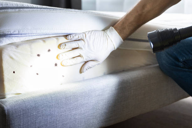 Best Cockroach Control Services  in Argentine, MI