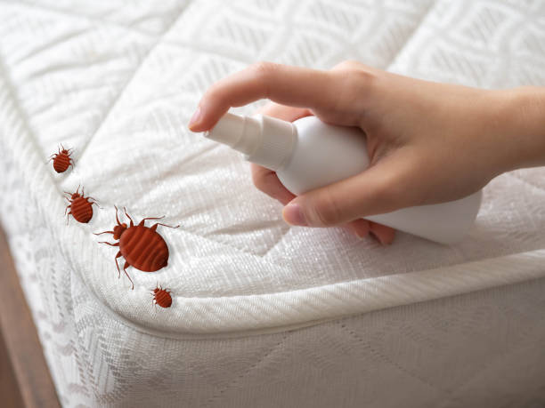 Best Ant Control Services  in Argentine, MI