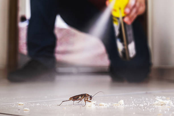 Best Commercial Pest Control Services  in Argentine, MI