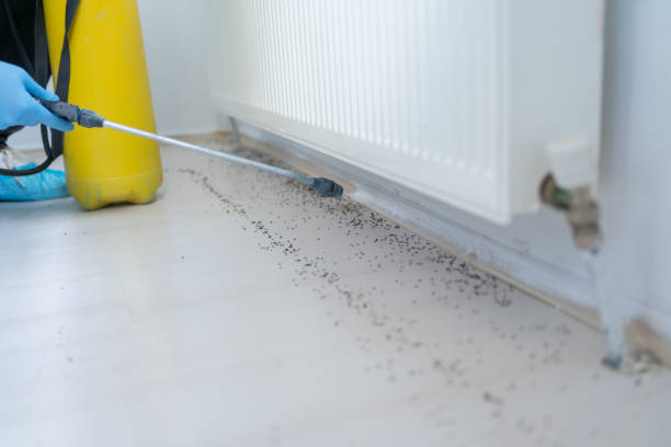 Best Best Pest Control Companies  in Argentine, MI