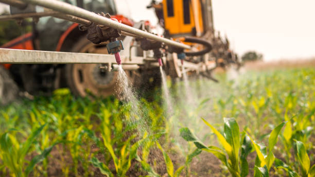 Best Local Pest Control Services  in Argentine, MI